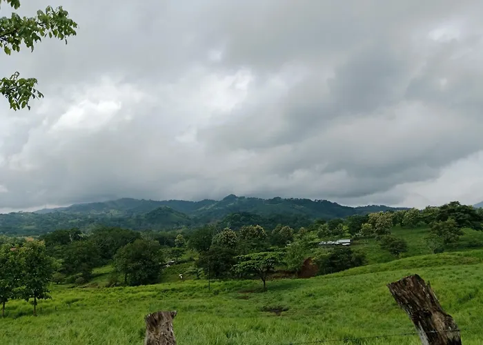 Pacific Lisn Nicoya