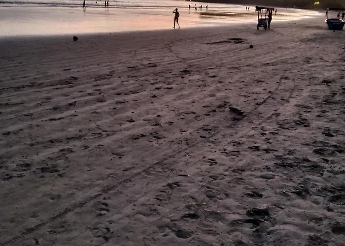 Pacific Lisn * Nicoya
