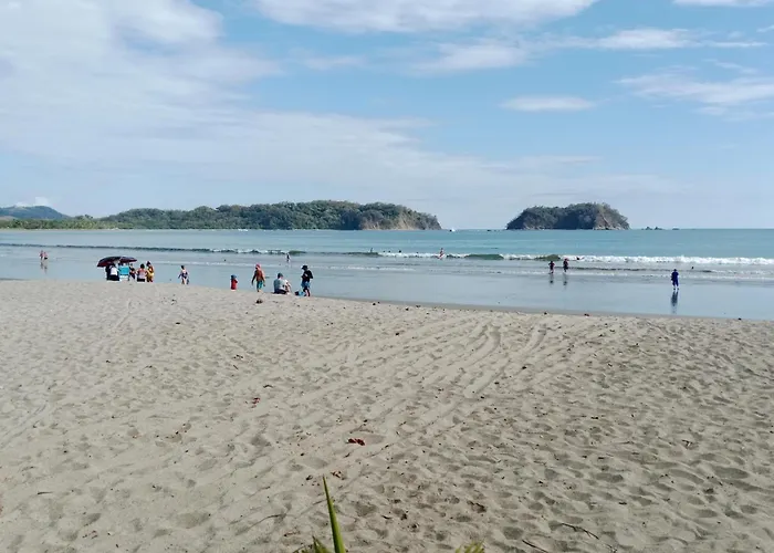 Pacific Lisn *