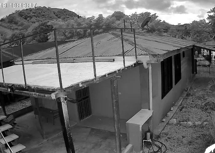 Pacific Lisn * Nicoya